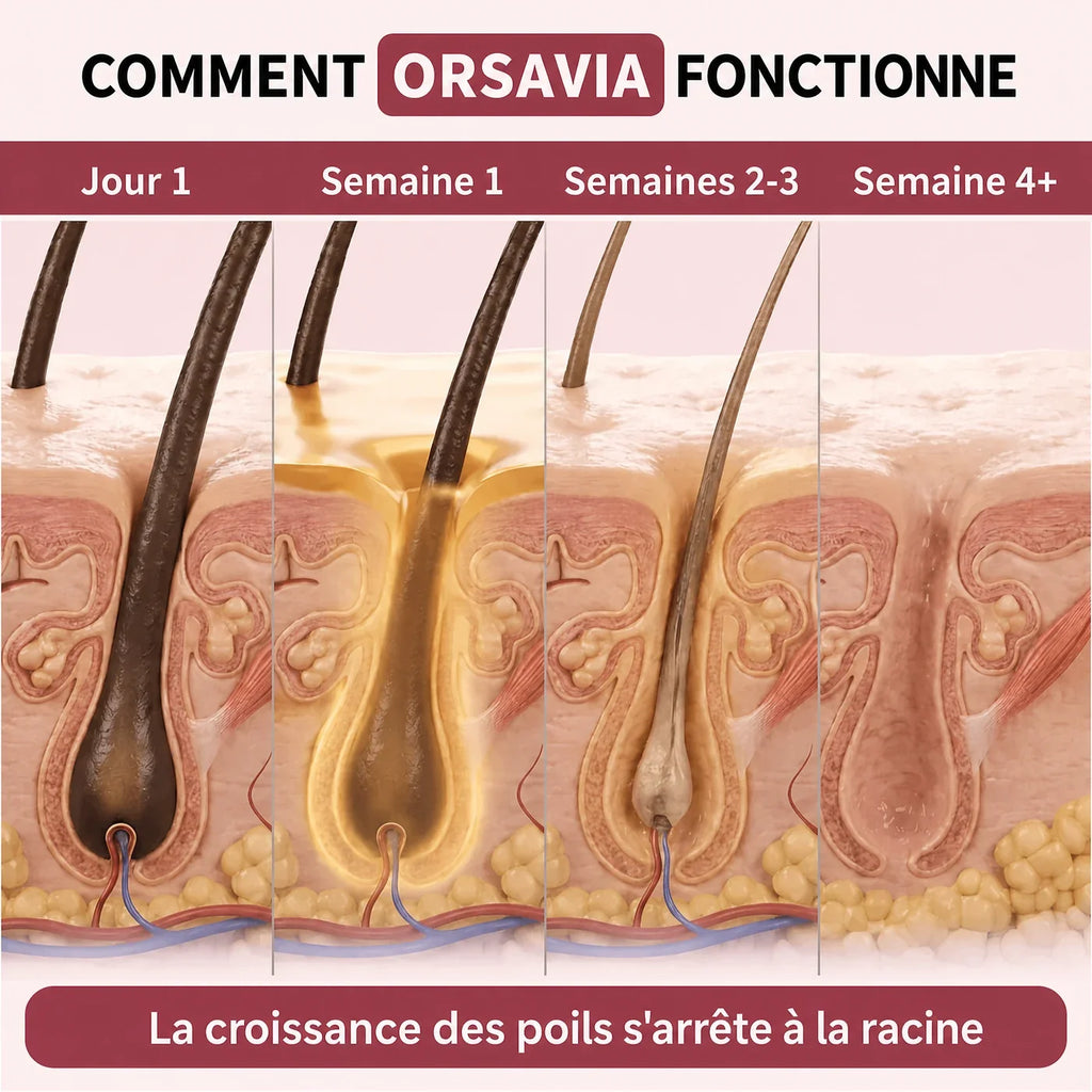 Comment Orsavia agit sur le follicule, semaine après semaine